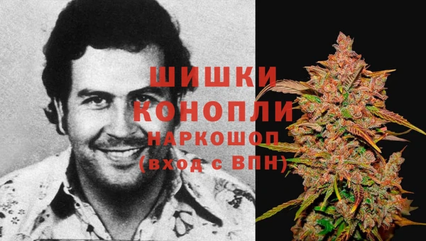 герыч Арсеньев