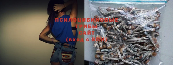 метадон Аркадак