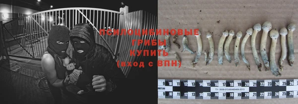 метадон Аркадак