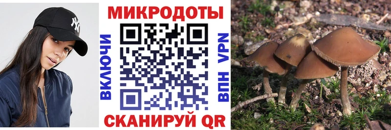 mega рабочий сайт  Юрьев-Польский  Галлюциногенные грибы Psilocybine cubensis 